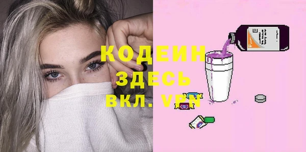 твердый Инта