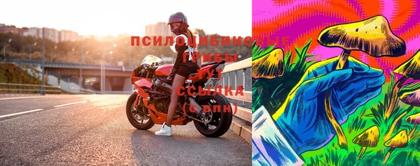 твердый Инта