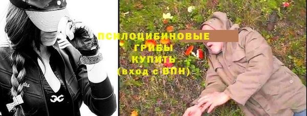 твердый Инта