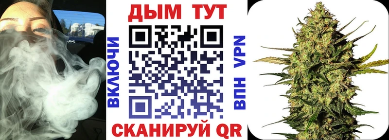 сколько стоит  МЕГА tor  Канабис семена  Невинномысск 